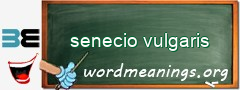 WordMeaning blackboard for senecio vulgaris